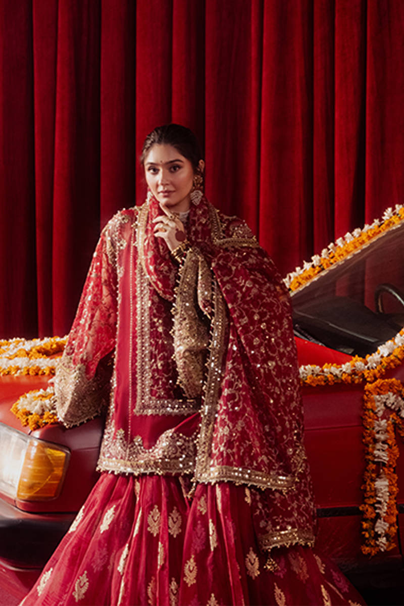 Mohsin Naveed Ranjha | Red Organza Embroidered Gharara