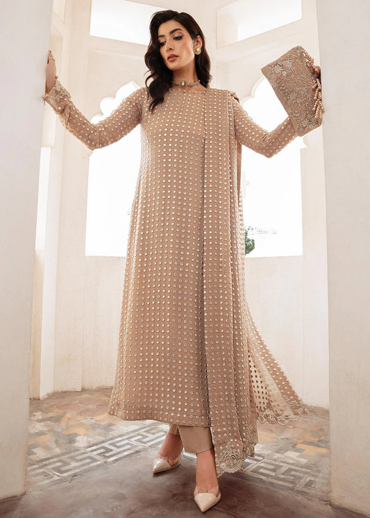 Salina | Embellished Chiffon Chikenkari