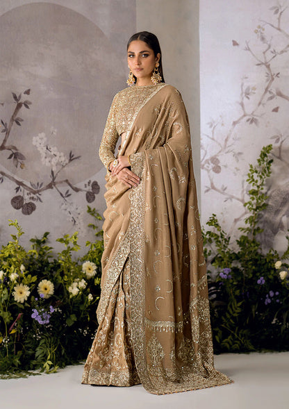 Umber | Embroidered Net Luxury Silk Saree