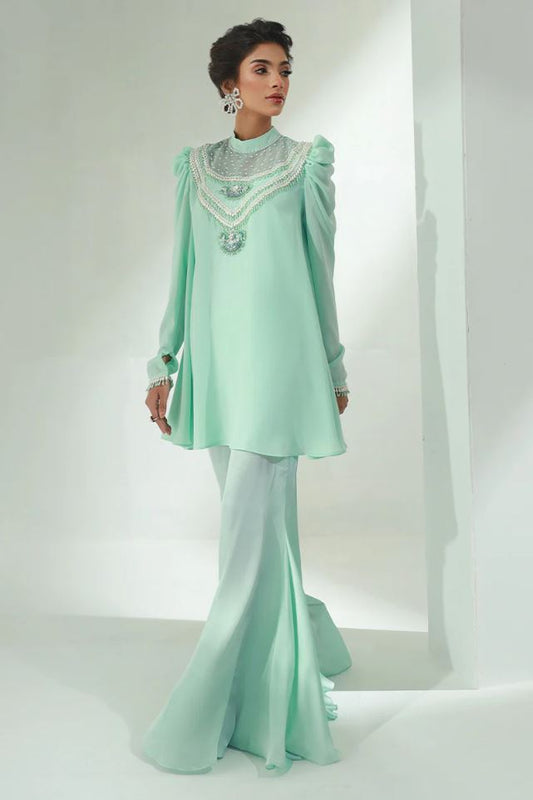 Fauna | Sea Green Chiffon Embellished Co Ord Set